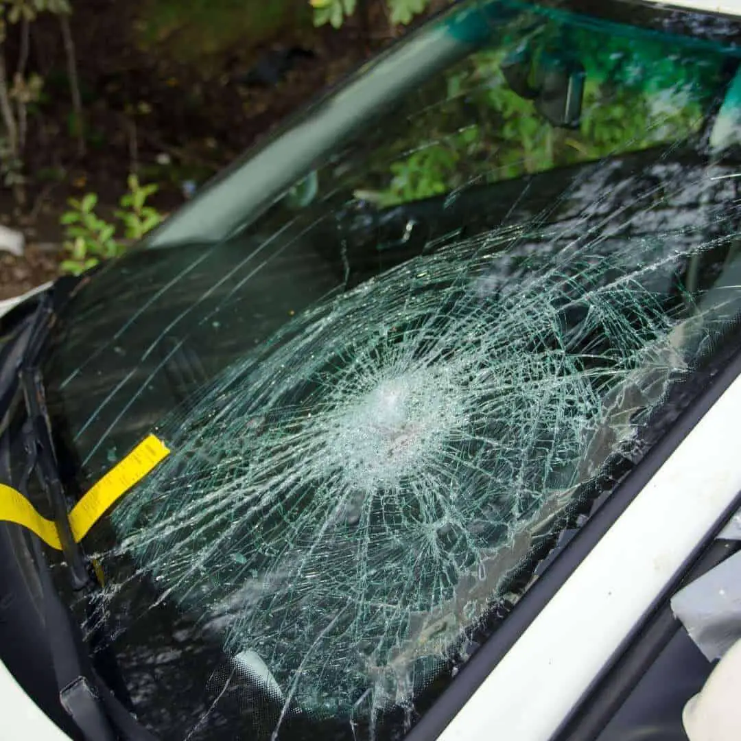 damaged_windshield.jpeg